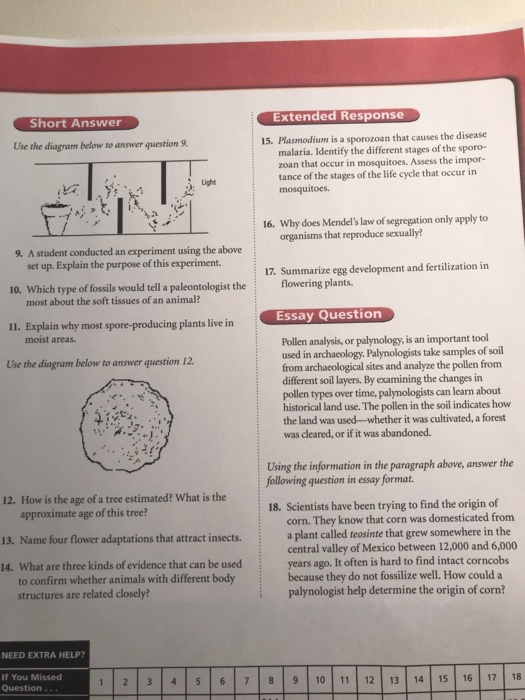 Standardized Test Practice Cumulative Multiple Choice Chegg 