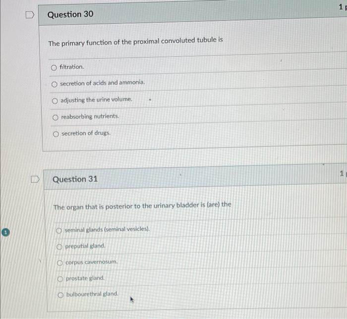 Solved Question 30 The primary function of the proximal | Chegg.com