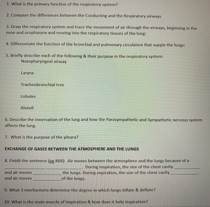 Solved 1. What is the primary function of the respiratory | Chegg.com