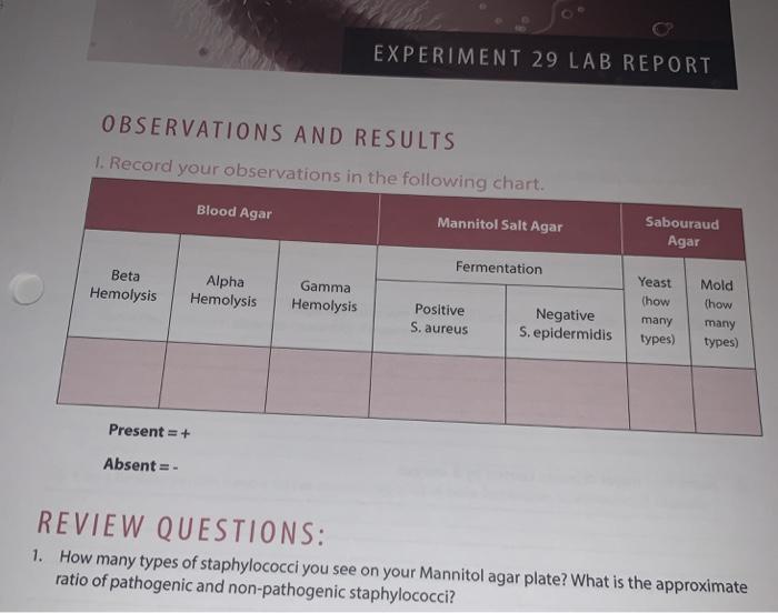 EXPERIMENT 29 LAB REPORT OBSERVATIONS AND RESULTS 1. | Chegg.com