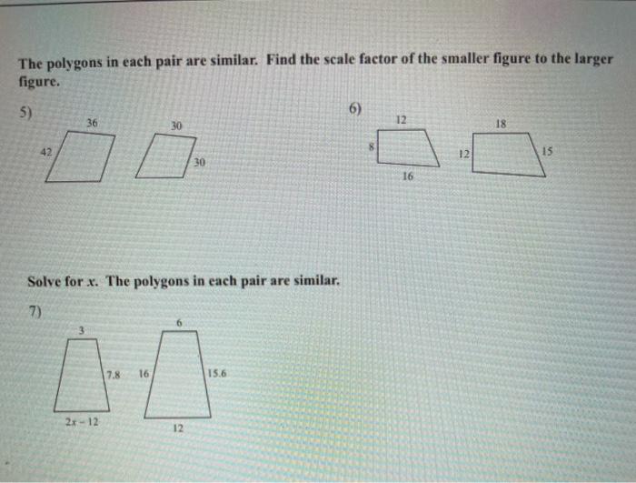 geometry assignment solve for x the polygons in each pair are similar