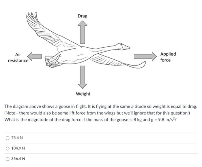 Solved The diagram above shows a goose in flight. It is | Chegg.com