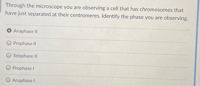 Solved Through the microscope you are observing a cell that | Chegg.com
