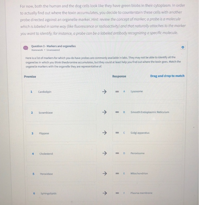 Solved Hello Having a little bit of trouble with this | Chegg.com