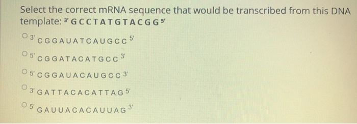 Solved Select the correct mRNA sequence that would be | Chegg.com
