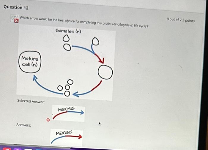 Solved Which arrow would be the best choice for completing | Chegg.com