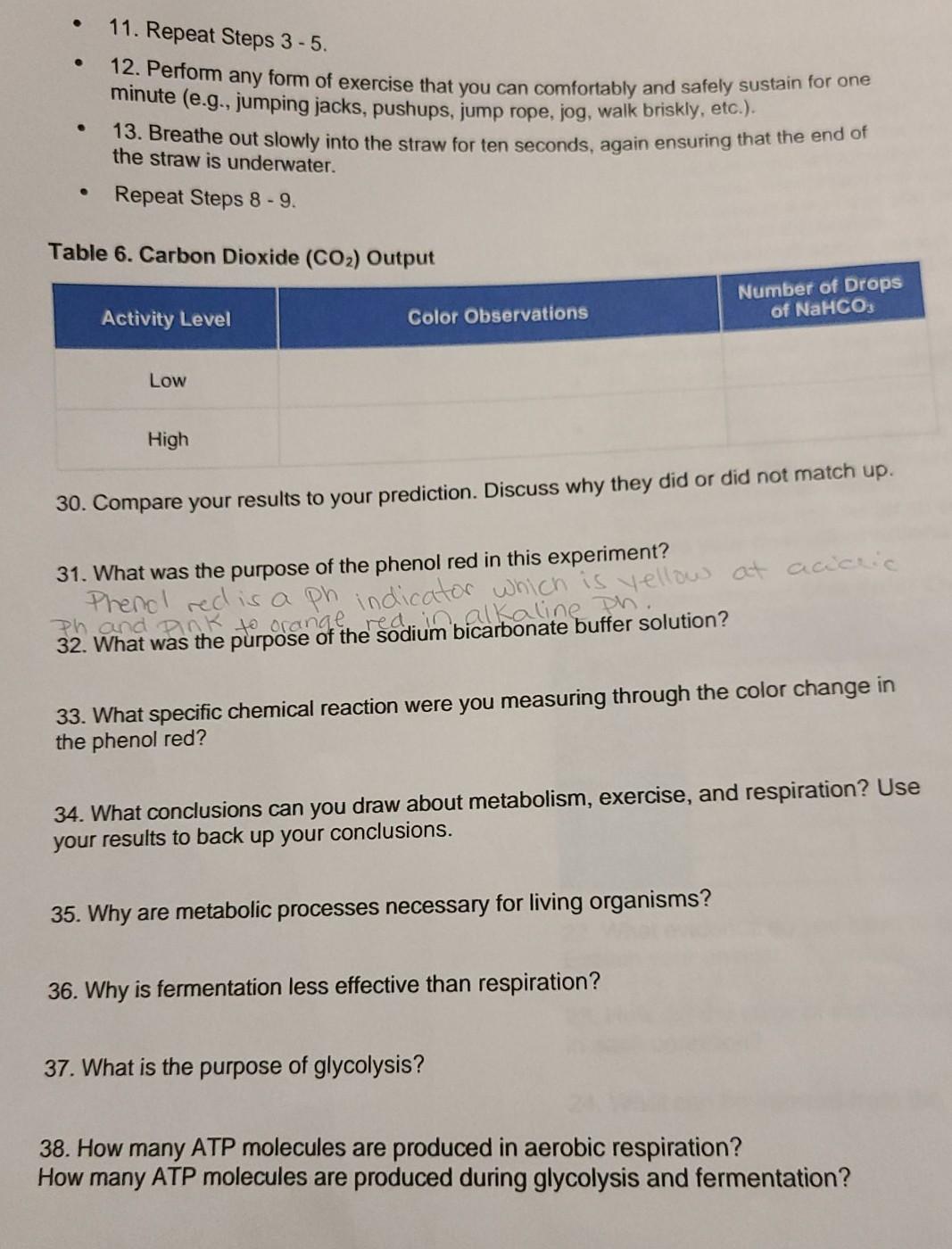Solved production at different activity levels. Phenol red