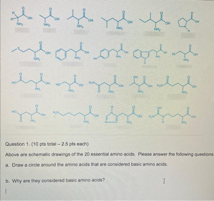 Solved Question 1. (10 pts total - 2.5 pts each) Above are | Chegg.com