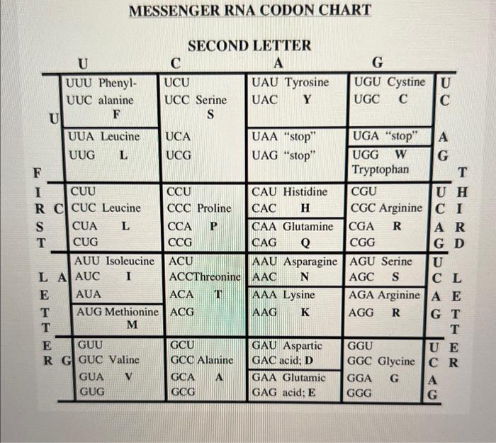 MESSENGER RNA CODON CHART