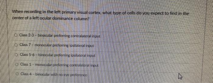 Solved When recording in the left primary visual cortex, | Chegg.com