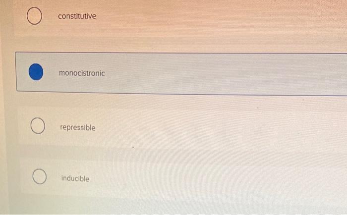 constitutive
monocistronic
repressible
inducible