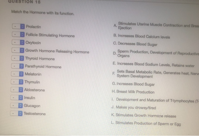 Solved QUESTION 14 Match the Hormone with the Gland where it | Chegg.com