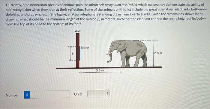 Solved Currently, nine nonhuman species of animals pass the | Chegg.com