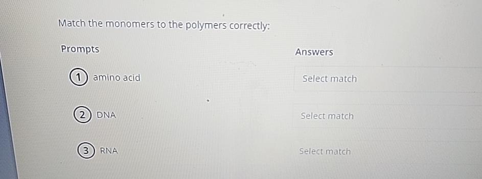 Solved Match The Monomers To The Polymers | Chegg.com