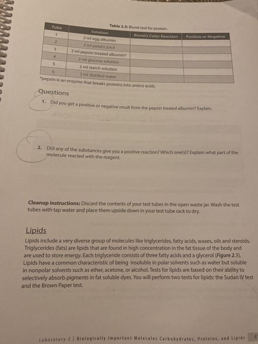 Solved Positive or Negative Table 23: Burt test for protein | Chegg.com