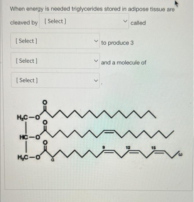 When energy is needed triglycerides stored in adipose tissue are
cleaved by [Select]
v
called
[Select]
to produce 3
[Select]
