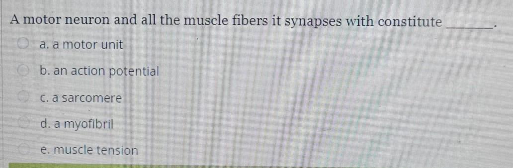 Solved A motor neuron and all the muscle fibers it synapses | Chegg.com
