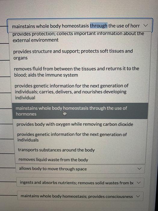 Solved Match Each Organ System With Its Function. Endocrine | Chegg.com