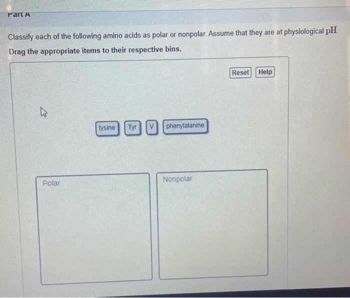 Solved Part A Classify each of the following amino acids as | Chegg.com