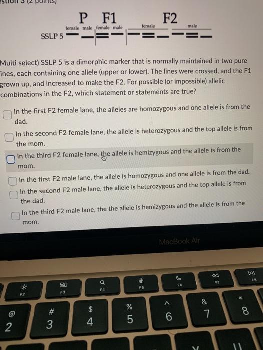 P F1 F2 female male female male female male SSLP 5 | Chegg.com