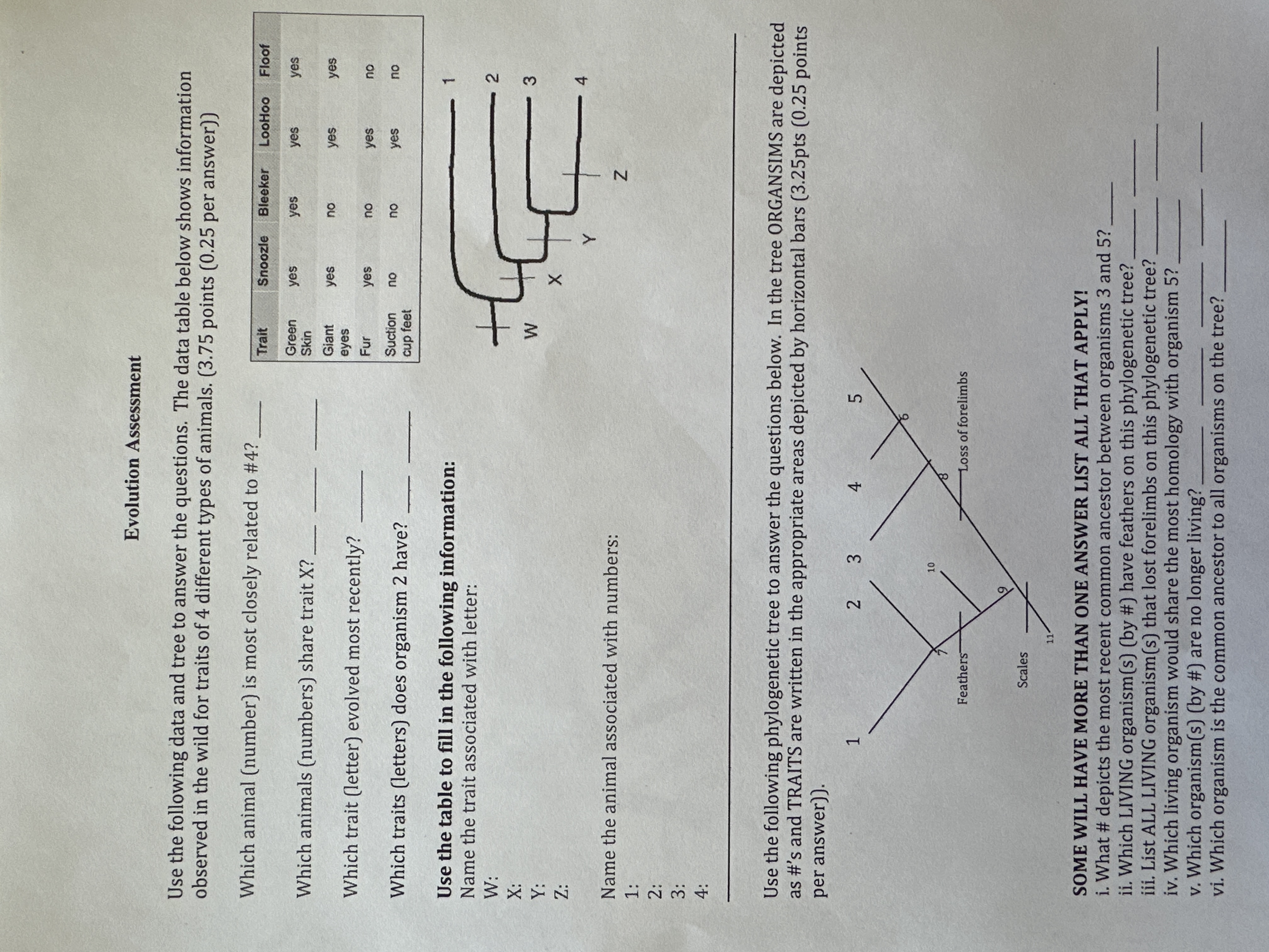 Solved Use the following phylogenetic tree to answer the | Chegg.com