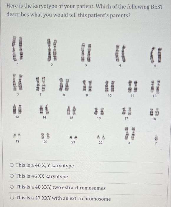 Here is the karyotype of your patient. Which of the | Chegg.com