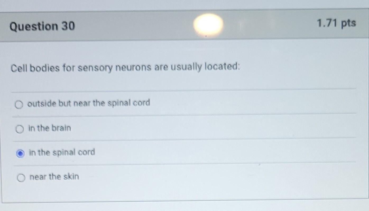 Solved Cell bodies for sensory neurons are usually located: | Chegg.com