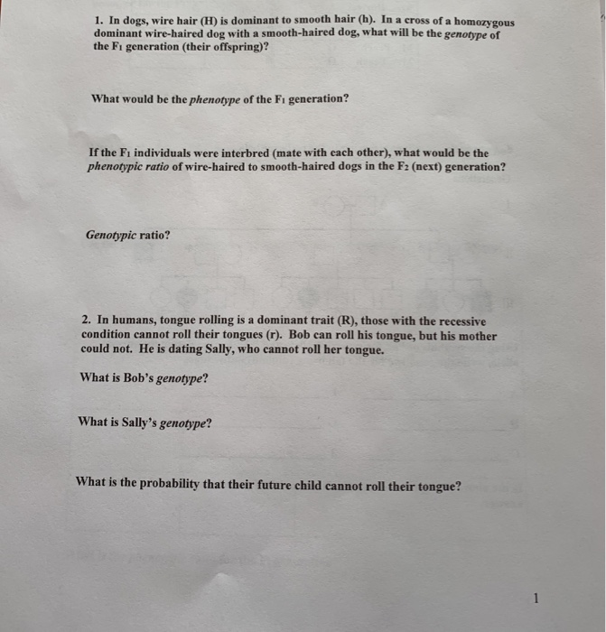 Solved 1. In dogs, wire hair (H) is dominant to smooth hair | Chegg.com