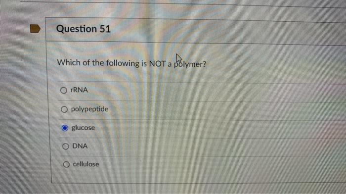 Solved Question 46 What is the molecule illustrated below in | Chegg.com