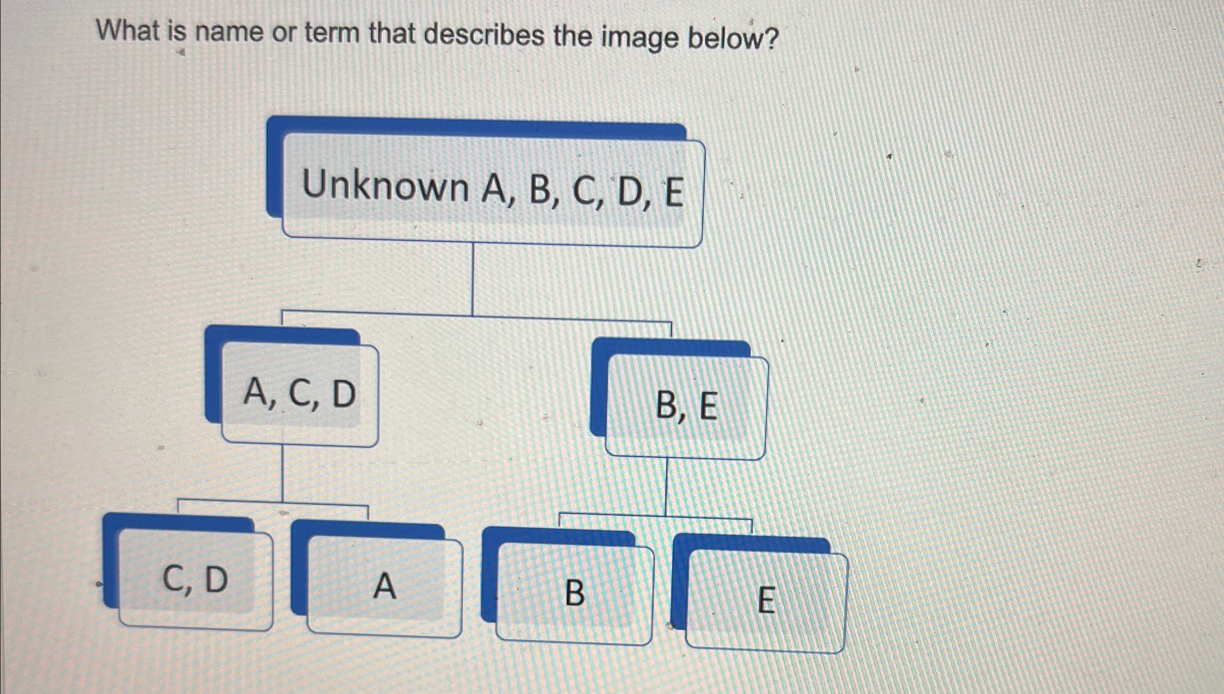 Solved What is name or term that describes the image below? | Chegg.com
