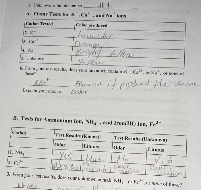 5. Identification of the negmun... From your test