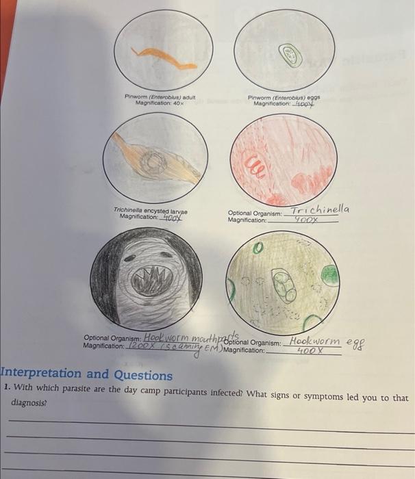 Solved Parasitic Worms CASE FILE On July 19, the director of | Chegg.com