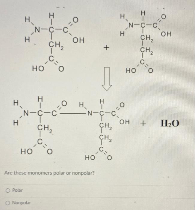 H H I O O In I 0 0 N C C H Oh N C H Oh Ch2 Ch2 Chegg Com