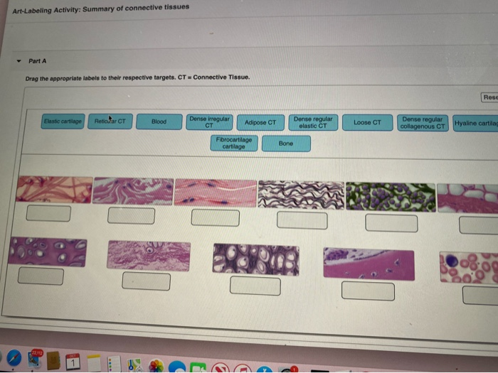 Solved Part A Drag The Appropriate Labels To Their Chegg Com