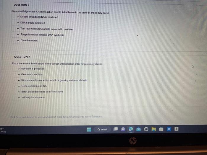 Solved Place the Polymerase Chain Reaction events leted