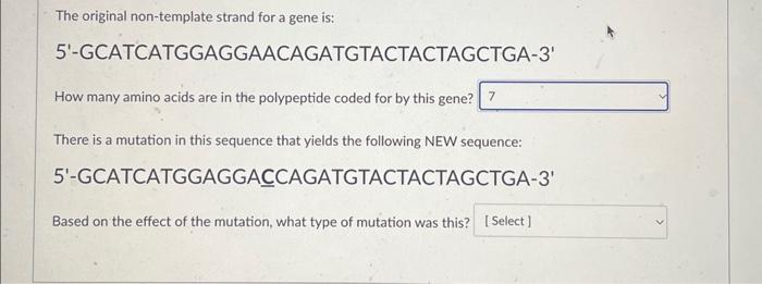 Solved -how many amino acids are in the polypeptide coded | Chegg.com