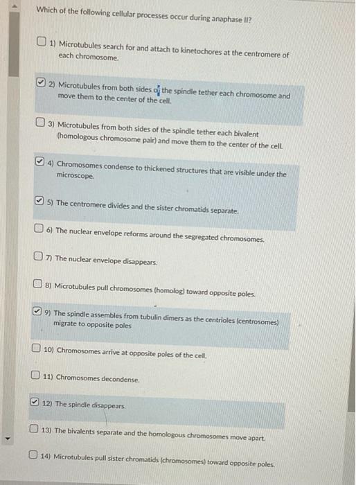 solved-which-of-the-following-cellular-processes-occur-chegg