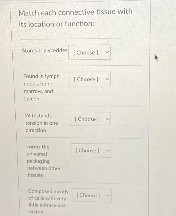 Solved Match each connective tissue with its location or