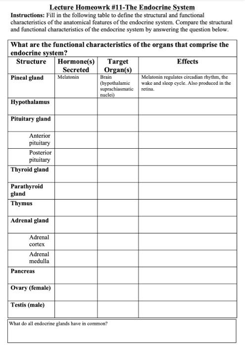 Solved Lecture Homeowrk \\#11-The Endocrine System | Chegg.com