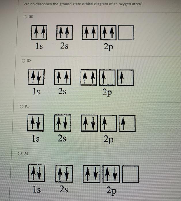 solved-which-describes-the-ground-state-orbital-diagram-of-chegg