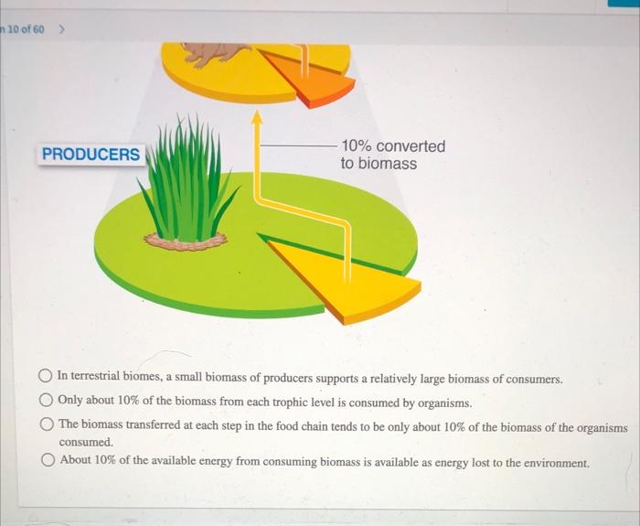 Solved The figure shows the path of energy through the | Chegg.com