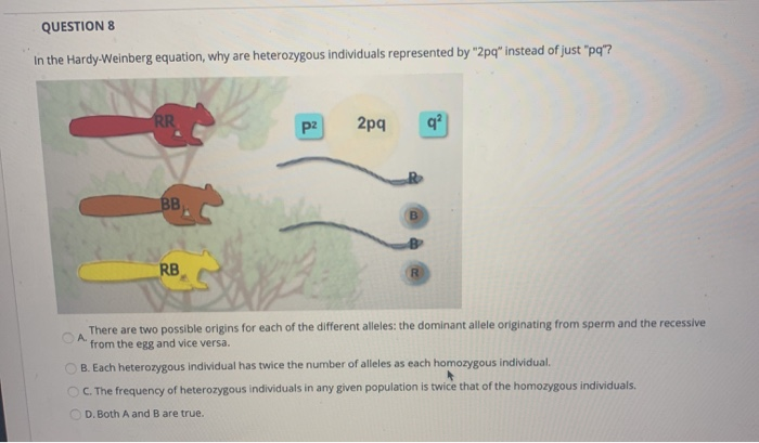 Solved QUESTION 1 Brown Hair (B) Is Dominant To Blonde Hair | Chegg.com