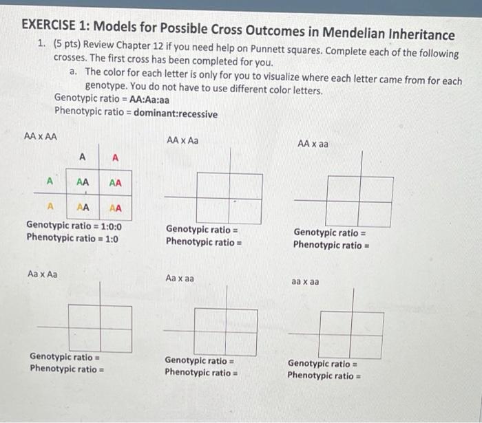 Solved EXERCISE 1: Models For Possible Cross Outcomes In | Chegg.com