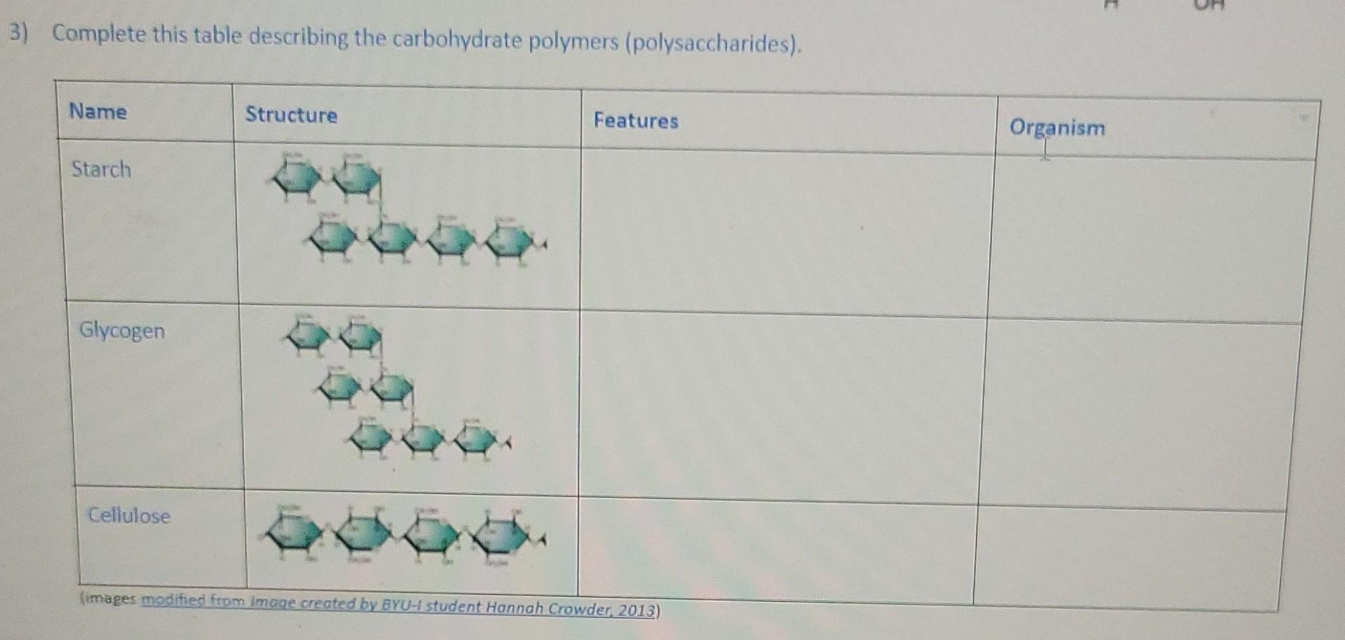 What is a Carbohydrate Polymer?