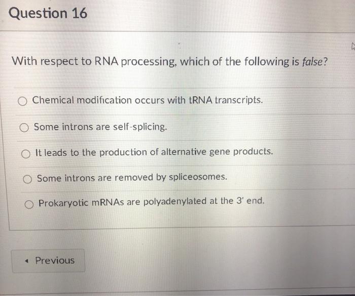 Solved Question 16 With respect to RNA processing, which of | Chegg.com