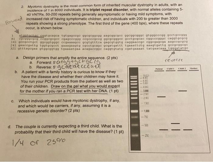 [Solved]: 2. Myotonic dystrophy is the most common form of