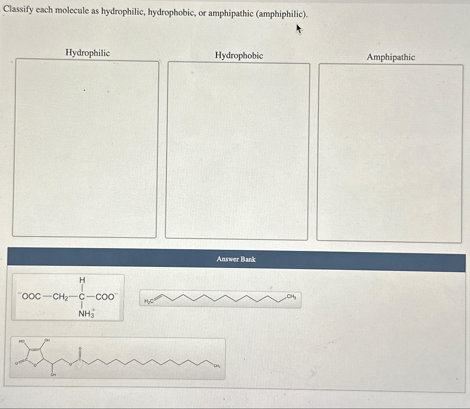 Solved Classify each molecule as hydrophilic, hydrophobic or