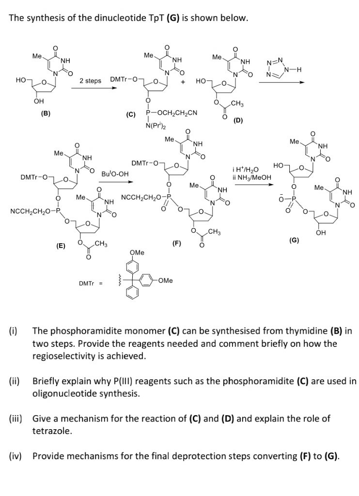 The Synthesis Of The Dinucleotide Tpt G Is Shown Chegg Com