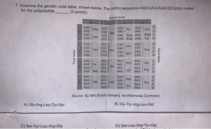 Solved 7. Examine the genetic code table, shown below. The | Chegg.com