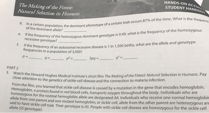 Solved Hands On Activ Student Handout The Making Of The F Chegg Com